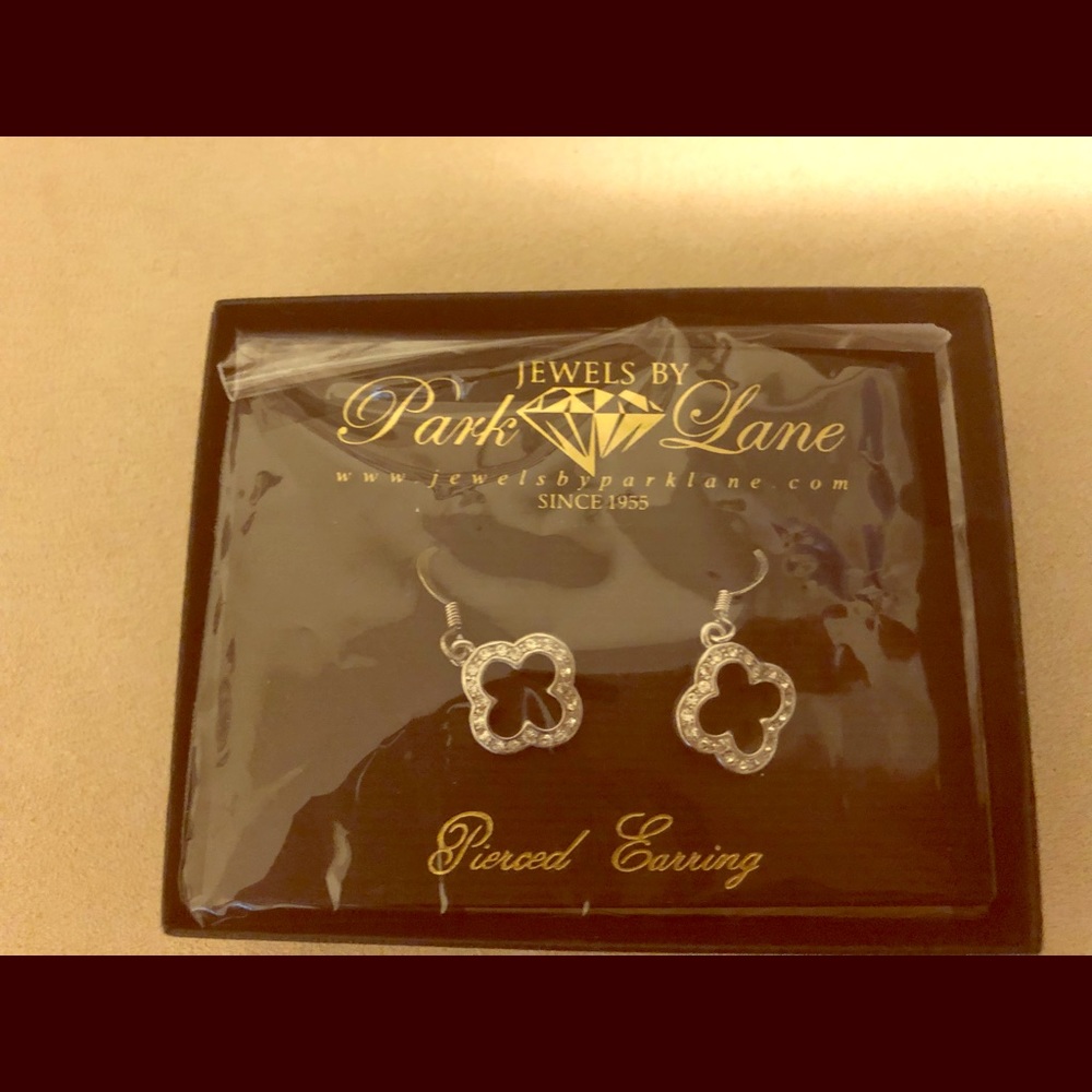 Beautiful Blingy Earrings